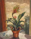 Adrian Feint, Still Life, Potted Plant 1961
