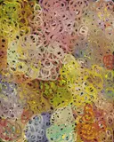 Gloria Petyarre, Mountain Devil Dreaming 2003