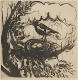 Brett Whiteley, Magpie 1977, 1977, sugarlift aquatint