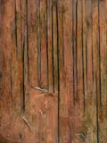 Fred Williams, Landscape, Sherbrooke Forest 1961-62