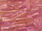 Emily Kame Kngwarreye, Flower Dreaming