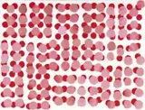 Angela Brennan, Untitled (Red and White) 2007, 2007, oil on linen