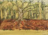 Albert Tucker, Murray River Tree 1962