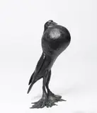 Michael Zavros, Bird