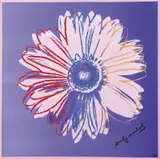 Germany Andy Warhol Rosenthal Studio Line, Daisies, Daisies