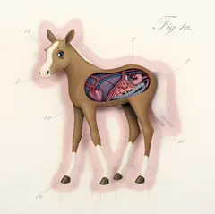 Chris Booth, Figure 1A 2007, 2007, synthetic polymer paint and mixed media on board (relief)