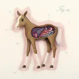 Chris Booth, Figure 1A 2007, 2007, synthetic polymer paint and mixed media on board (relief)
