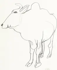 Zebu c1985 by Brett Whiteley, c1985, pencil on paper, sold Sep 2014