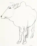 Zebu c1985 by Brett Whiteley, c1985, pencil on paper, sold Sep 2014
