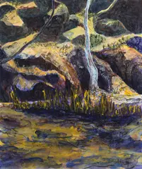 Mitchell Kelly, Wilpena Creek 2006, 2006, synthetic polymer paint on canvas