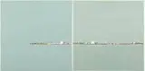 Peter Simpson, Shoreline, oil on canvas (diptych)