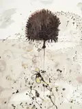 Echidna and Ant 1979 by John Olsen, 1979, watercolour on paper, sold Jul 2014