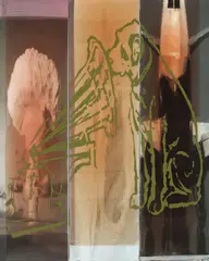 Giles Alexander, His Masters Rose-Tinted Voice 2006, 2006, oil, resin, enamel & wax on polyester (triptych)