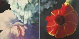 Tim Maguire, Untitled 1992-93, 1992-93, oil on paper on canvas (diptych)