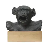 Lisa Roet, Ham (Astro Chimp) 15 2005, 2005, bronze