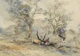 John Skinner Prout, Mt Wellington, Hobarton 1845