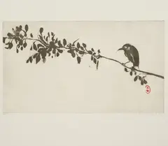 Brett Whiteley, Bird on a Branch 1977, 1977, sugarlift aquatint on paper