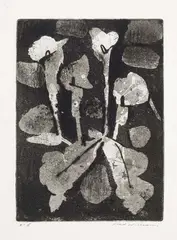 Lilies 1962 by Fred Williams, 1962, aquatint, drypoint and engraving, sold Mar 2014