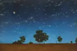 Jason Benjamin, What's Left (Western Plains NSW) 2006, 2006, oil on canvas