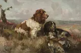 Harold Septimus Power, Cocker Spaniels