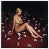 Patricia Piccinini, Protein Lattice, Subset - Red Landscape 1997