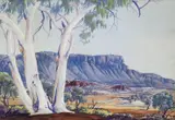 Albert Namatjira, Untitled (White Ghost Gum)