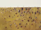 Fred Williams, Upwey Landscape 1 1965, 1965, gouache on paper
