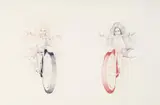 Laith McGregor, Not So Easy Rider 2009, 2009, biro on paper