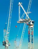 Peter Smets, Crane No.5, oil on canvas
