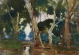 Walter Withers, Gums in Twilight, oil on cedar panel