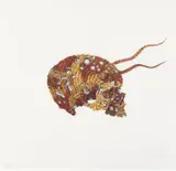 eX de Medici, Skull (Camo) 2004, 2004, watercolour on paper