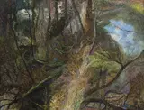 William Robinson, Sunlit creek Purlingbrook 2004