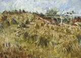 John Perceval, The Cornfield 1959, 1959, oil on composition board
