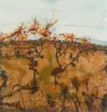 John Olsen, Rydal - Grevilleas and Honeyeaters 1999, 1999, watercolour, pastel and acrylic on paper