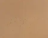 Fred Williams, Australian Landscape I 1969, 1969, oil on canvas