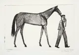 John Brack, Strapper and Horse 1956