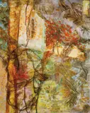 Richard Dunlop, Rainforest 2008, 2008, oil on linen