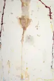 John Olsen, When the River Didn't Run - Quiet Music for Sunday 1989, 1989, mixed media on paper
