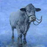 Angus McDONALD, Salvatore 2007, 2007, oil on panel