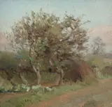 Tom Roberts, Summer
