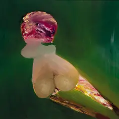 Figure 1972 by Sidney Nolan, 1972, oil on composition board, sold Jun 2012