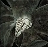 Tim Maguire, Untitled 20030907 2003, 2003, oil on canvas