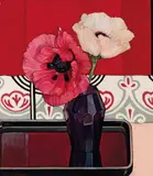 Criss Canning, Shades of Pink and Red 2003, 2003, oil on canvas