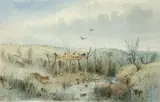 S. T. Gill, Native Sepulchre, near Missunga Plains, South Australia 1842