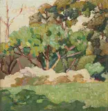 Grace Cossington Smith, A Corner of the Artist's Garden c1920, c1920, oil on board