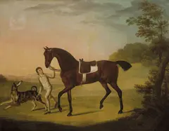Francis Sartorius, Rib, Bred by Mr Curwen 1780, 1780, oil on canvas