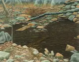 Lin Onus, Reflective Pool