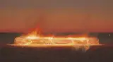Tim Storrier, (Burning Log)