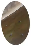 John Kelly, Aerial View No 1