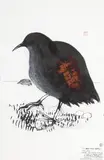 Brett Whiteley, Lord Howe Island Woodhen 1992